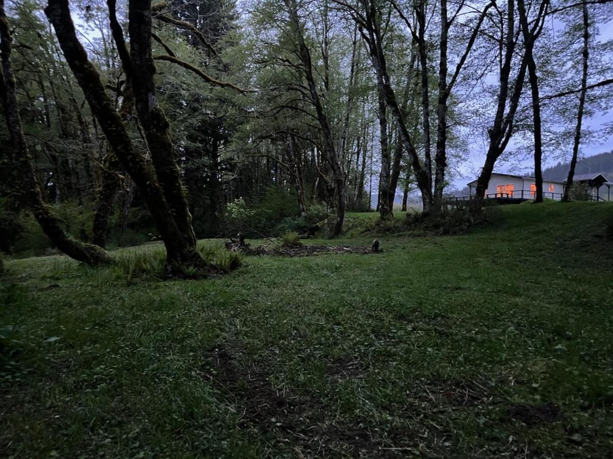 Beaver A Relaxing Getaway-A Backwoods Cabin Solduc River מראה חיצוני תמונה