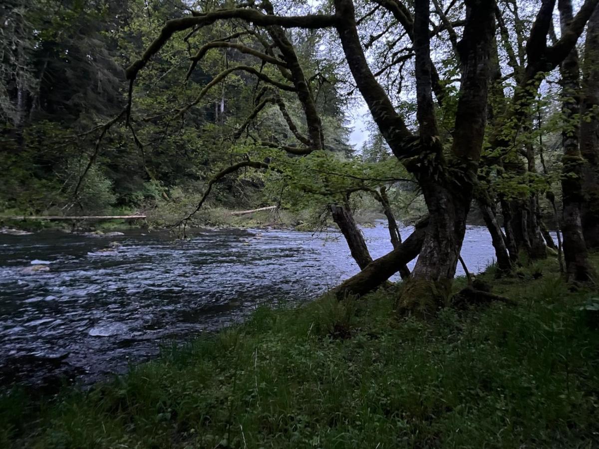 Beaver A Relaxing Getaway-A Backwoods Cabin Solduc River מראה חיצוני תמונה