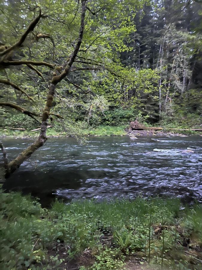Beaver A Relaxing Getaway-A Backwoods Cabin Solduc River מראה חיצוני תמונה
