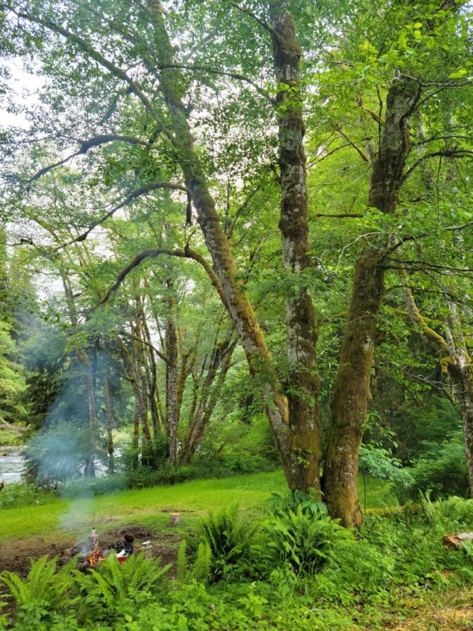 Beaver A Relaxing Getaway-A Backwoods Cabin Solduc River מראה חיצוני תמונה